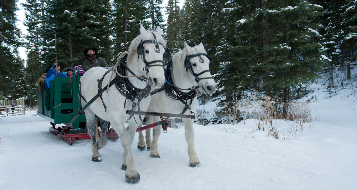 Lone Mountain Ranch Sleigh Ride Dinner