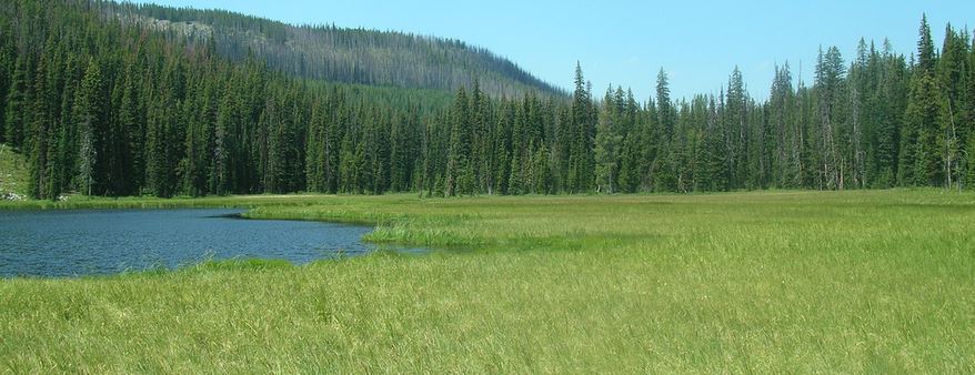 Mud Lake and Meadow off Skalkaho Highway Montana