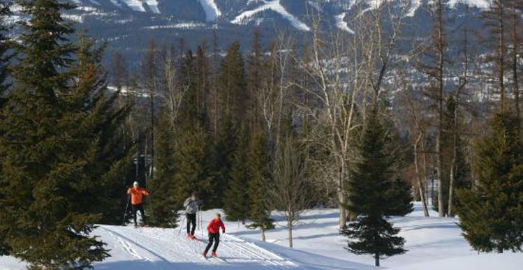 Flathead Valley X-Country Skiing