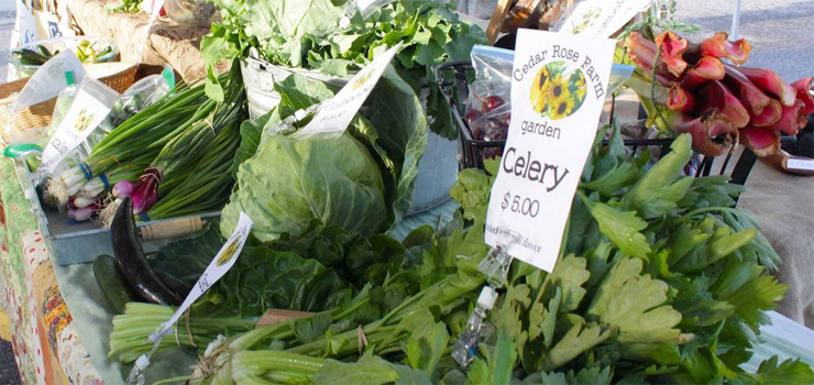 Farmers Market in Big Sky, Montana