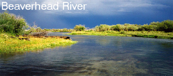 Fly Fish the Beaverhead River in Montana