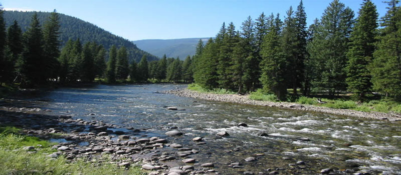 Fly Fishing on the Gallatin River in Big Sky, Montana