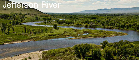 Fly Fishing the Jefferson River in Motana