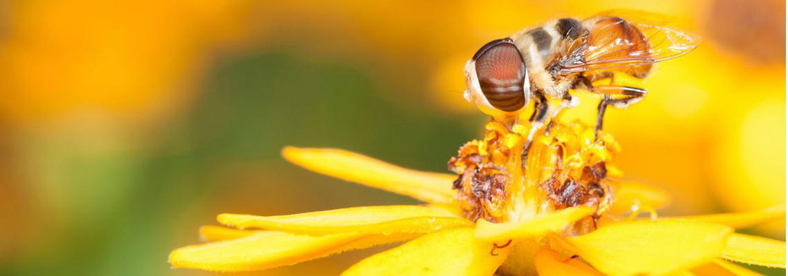 Insectarium for Kids in Missoula, Montana