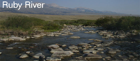 Fly Fish the Ruby River in Monrana