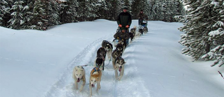 Spirit-of-the-North-West-Yellowstone-Montana