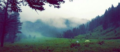 Truman Gulch Hiking Trail near Belgrade, Montana