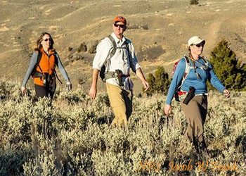 Best day hikes in Yellowstone National Park