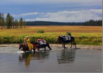 Backcountry Pack Trips