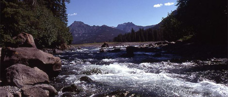 Fly Fish Soda Butte Creek in Yellowstone National Park