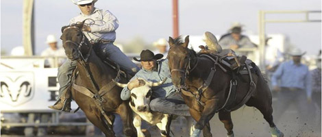 Helena Montana Rodeo