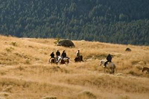 Horseback ride Paradise Valley Motnana