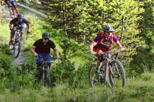 Mountain biking Montana