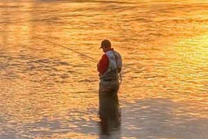 Fly Fishing the Yellowstone River