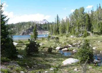 Hiking the Beartooth Highway Area Montana