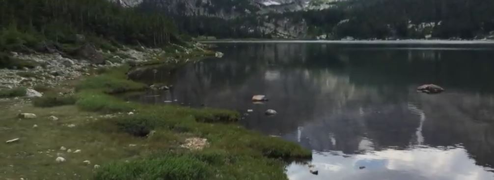 Timberline & Gertrude Lake Trail #12