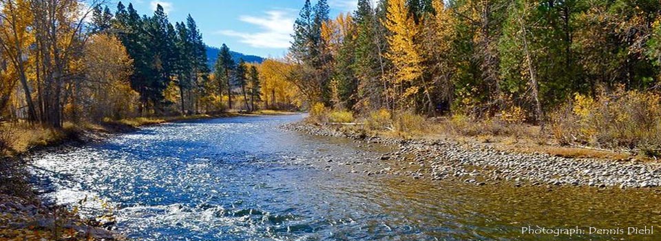 Bitterroot River by Dennis Diehl