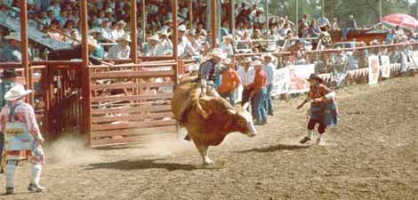 Wild Horse Stampede PRCA Rodeo Wolf Point MT