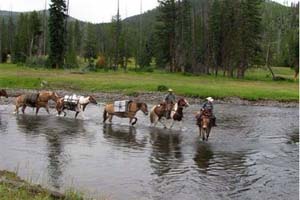 Yellowstone-horse-trips