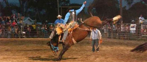 big timber montana weekly pro rodeo