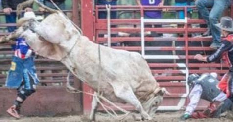 Extreme Bulls and Broncs at Majestic VAlley Arena