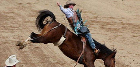 Livingston Montana Rodeo