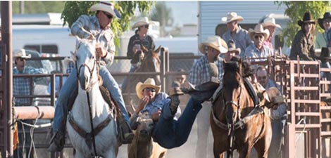 Three Forks Montana Rodeo