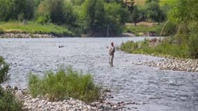 Darby, Montana