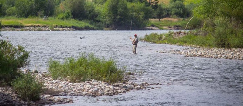 Darby Fly fishing