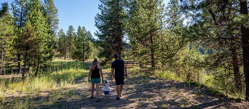 Painted Rocks State Park in Darby Montana