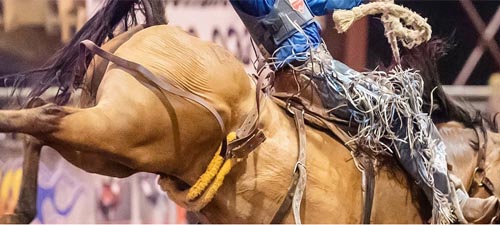 Hells a Roarin Rodeo Gardiner Montana