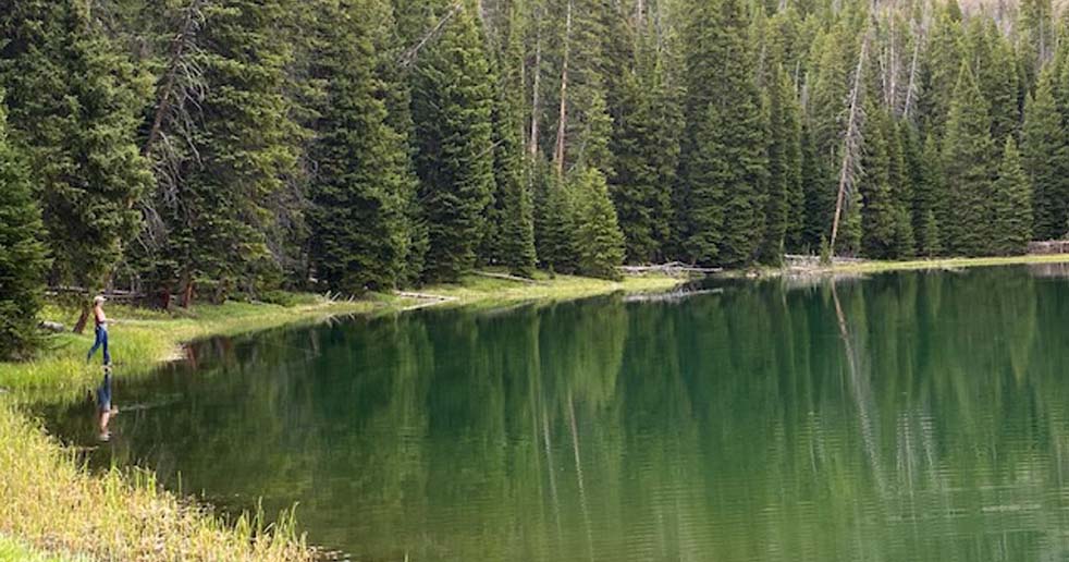 Ramshorn Lake Trail