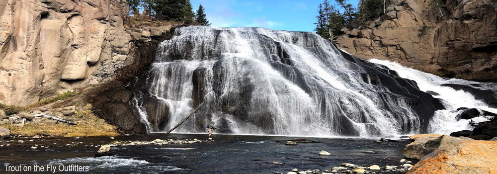 Fly Fishing on the Gibbon River in Yellowstone National Park