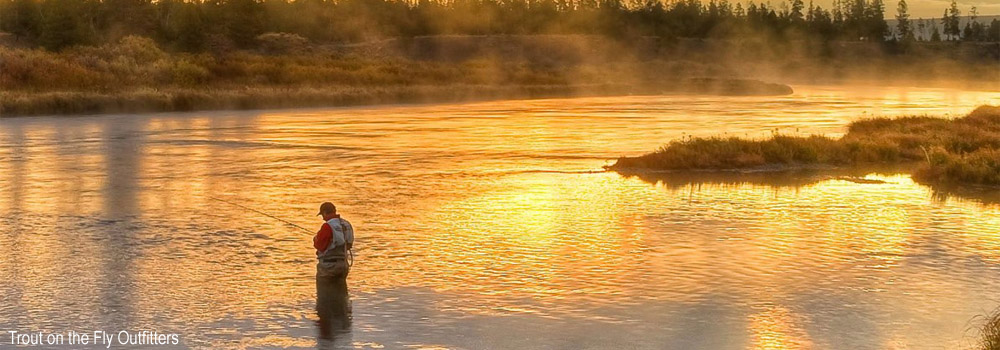 Fly Fishing on the Madison River in Yellowstone National Park