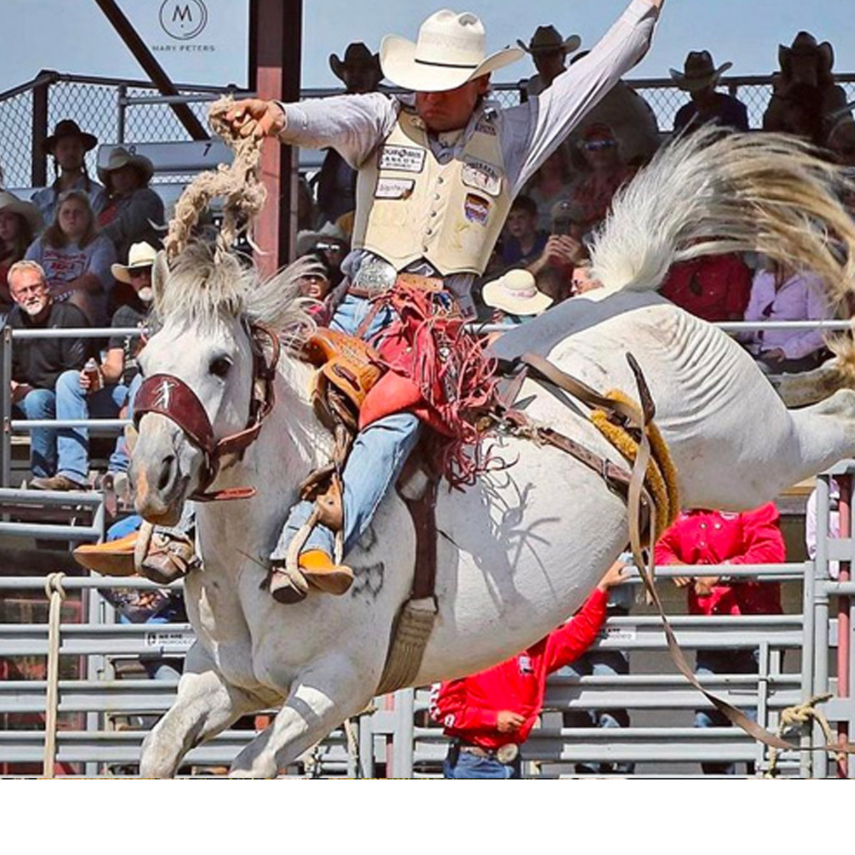 Rodeos in Montana