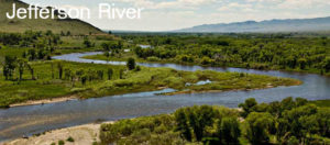 Fly Fishing the Jefferson River in Motana