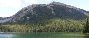 Trail to Johnson Lake in the Anaconda-Pintler Wilderness