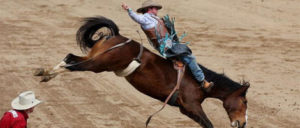 Livingston, Montana Roundup Rodeo