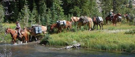 Wilderness Trails Outfitters - Yellowstone Horse Pack Trips