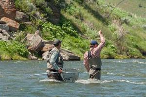 fly fish gallatin river big sky montana