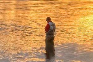 Fly Fish the Gallatin River