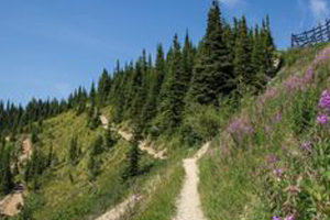 Hiking near Bigfork Montana