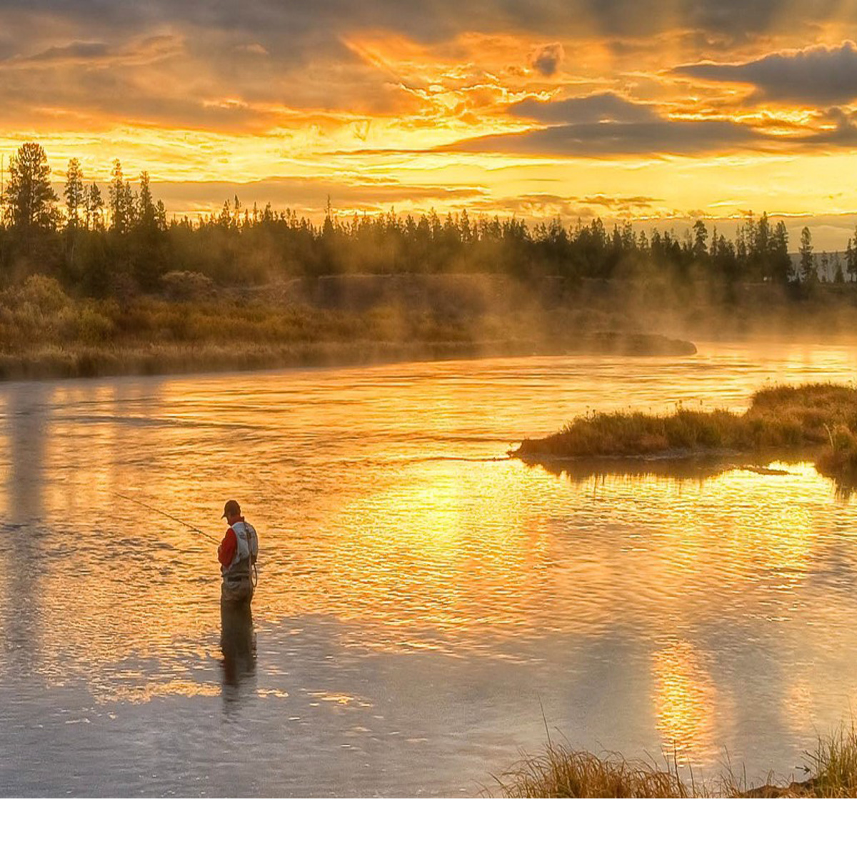 Montana Trout On The Fly Outfitter in SW Montana