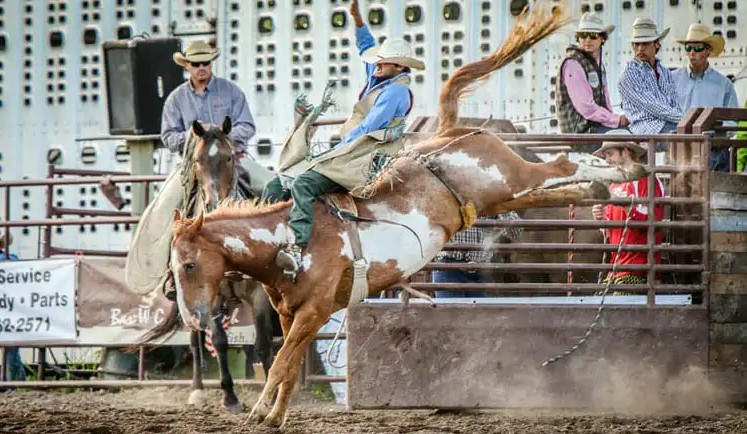 Rodeo in Columbia Falls, Montana | Destination Montana