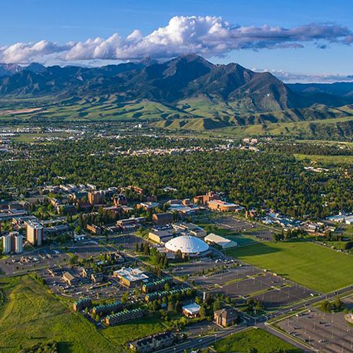 Montana State University in Bozeman Montana