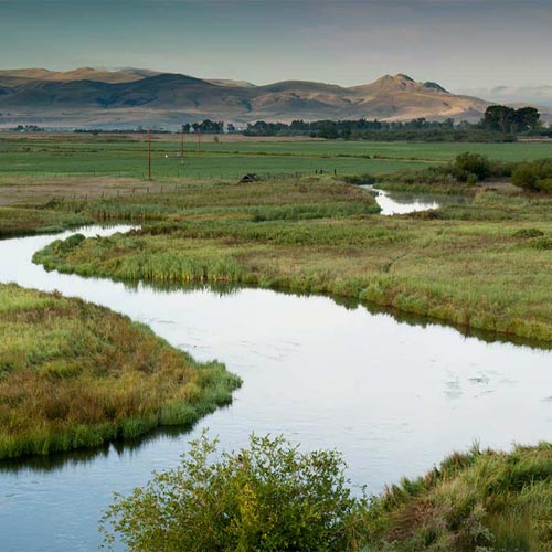 Dillon Montana is a small town in southwest Montana near the Beaverhead River