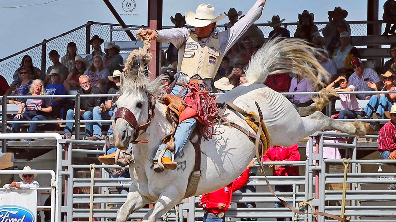 Red Lodge Montana Rodeo 