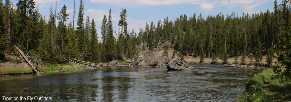 Fly Fishing on the Firehole River in Yellowstone National Park