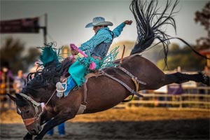 Rodeos in Montana 