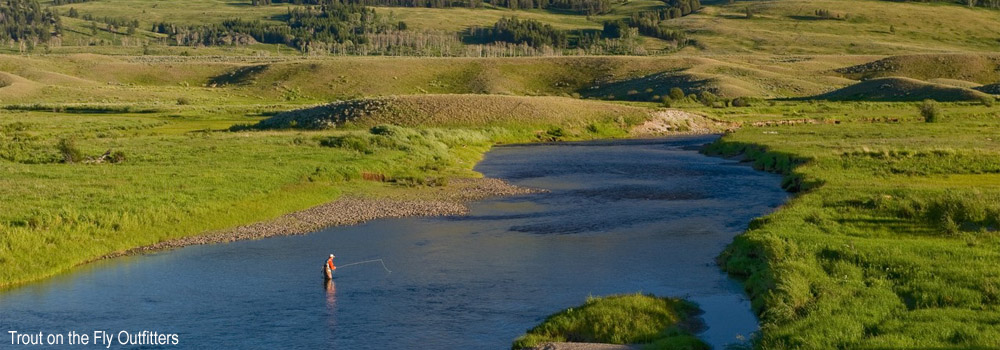 Fly Fishing on Slough Creek in Yellowstone Park